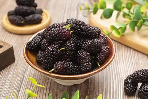 What does mulberry extract do for the skin?